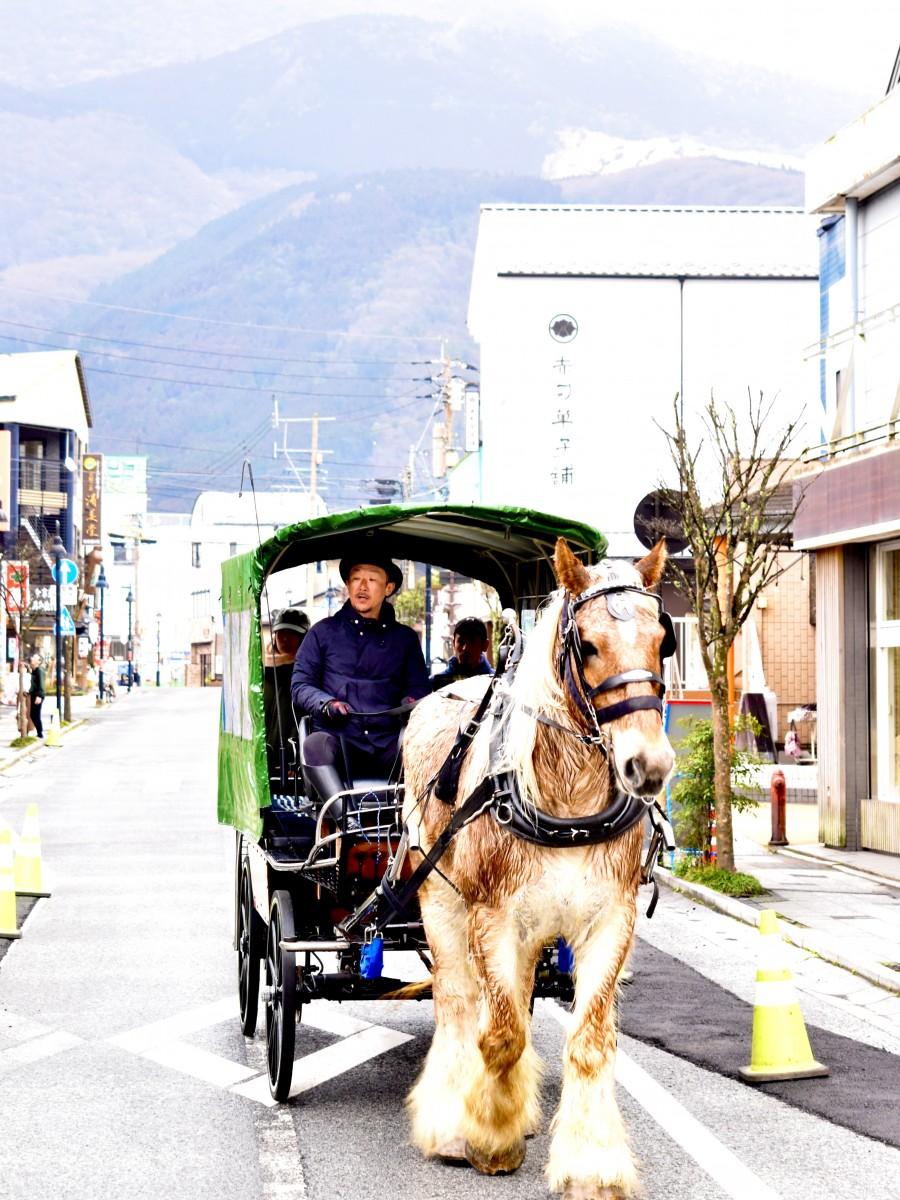 ゆふいん観光辻馬車