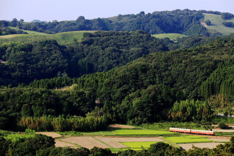 房総の絶景 on X: