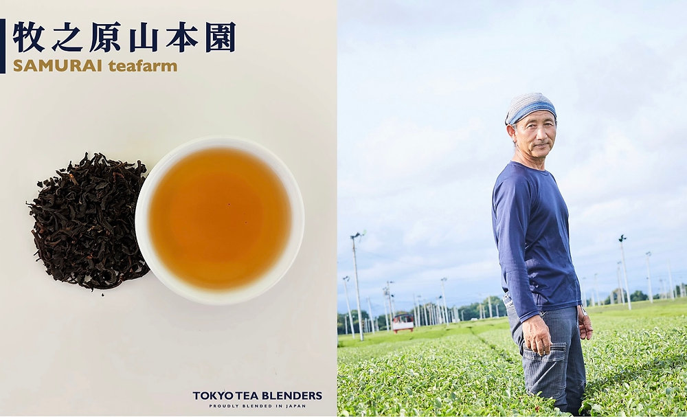 牧之原山本園茶園紹介和紅茶専門店レインブラントティ