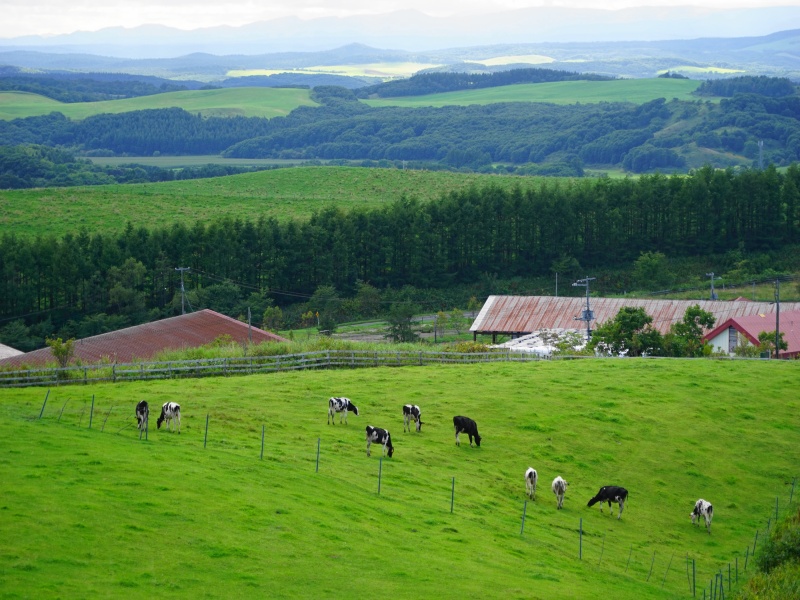 SLの汽笛が響く町 北海道標茶町で観光客をおもてなしする昭和の美女軍団 鳥塚亮- エキスパート