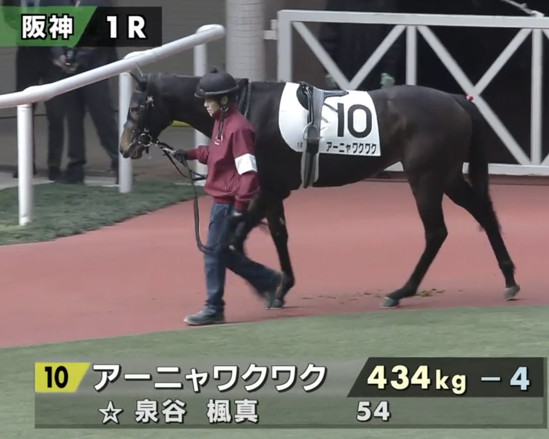 アーニャが大阪・南港にやってきた！「『SPY×FAMILY』わくわくパーク」開催 貴重資料も展示ラジトピ ラジオ関西トピックス