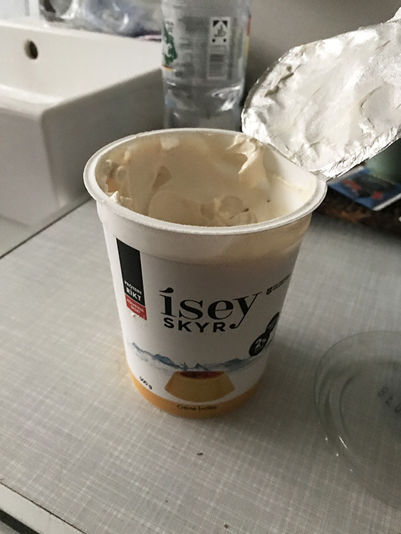 ついに日本上陸☆アイスランド国民食SKYRスキルを再び食べてみた1weekぐらし