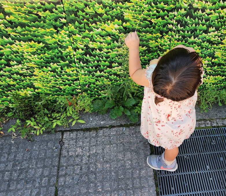 車なしでも楽しめる2泊3日赤ちゃん連れ軽井沢旅行ザ・プリンス軽井沢に宿泊！ - ネコと住まう家づくり
