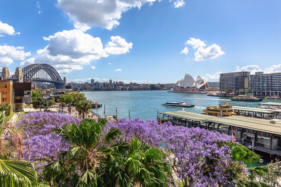 シドニー観光モデルコース3日間・オーストラリア最大の港町を楽しもう！ - たびハピ