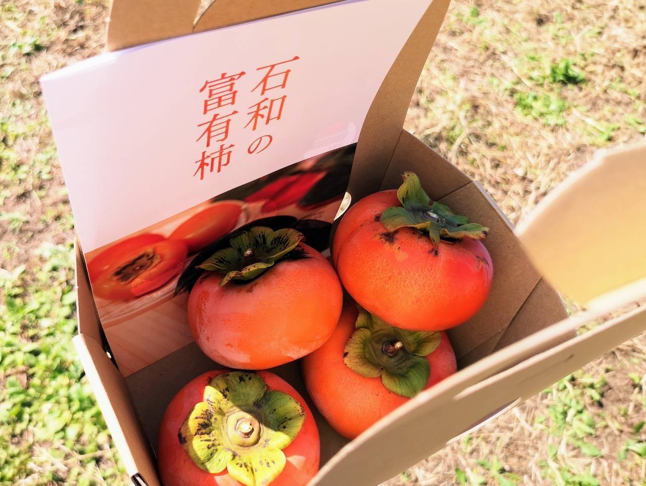 シャトレーゼ 工場見学バスツアー「体験ツアー」の参加方法や料金は？アイス食べ放題が終わったって本当？見どころを紹介イチオシichioshi