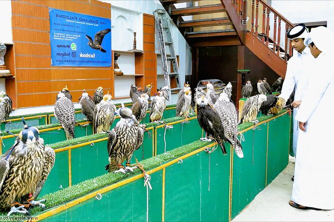 ドーハ 3時間トランジットツアーの全てカタール航空アル・ムルジャンビジネスラウンジで一泊してみた長時間乗り継ぎ、どう過ごす