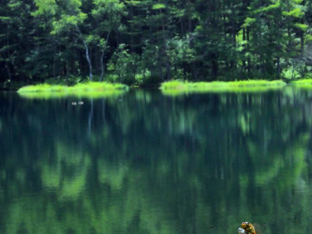 おしどり隠しの滝がんでんの館