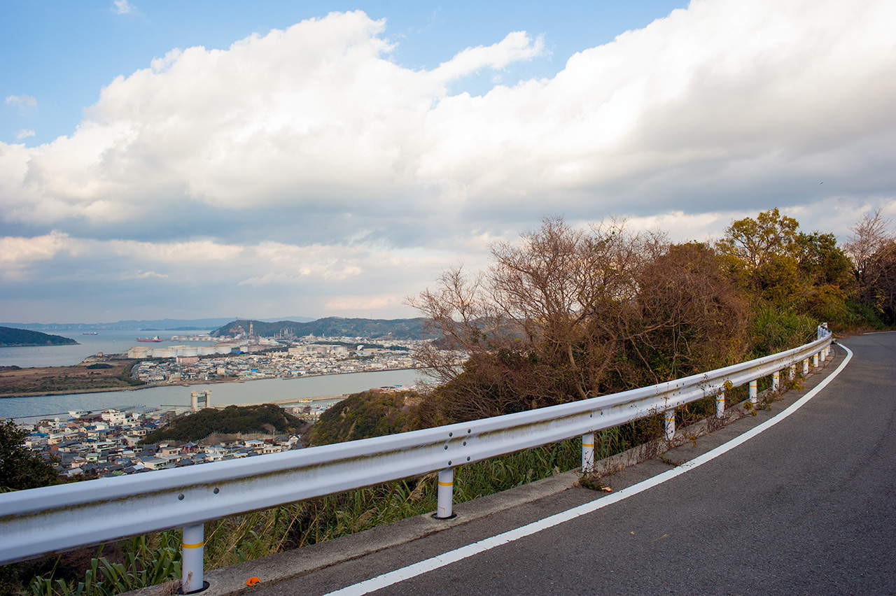 和歌山県 有田みかん海道。みかん畑のみかんの花。 - 晴歩雨描