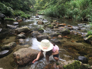 ファミキャンとカメラといろいろと芋煮会 in 水の森公園キャンプ場 第3回そとあそびはじめます