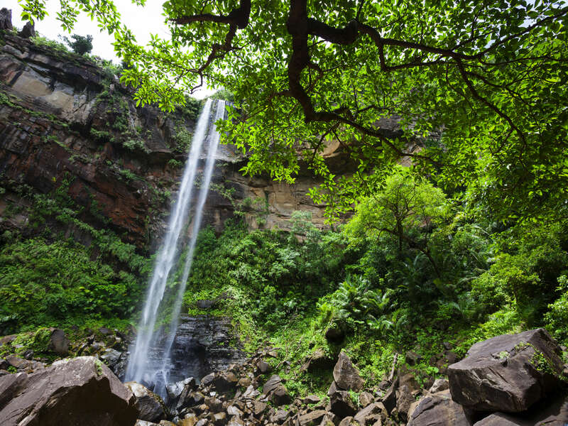 亜熱帯ジャングルを進んで出会う！西表島の滝おすすめ11選沖縄の観光情報はFeel Okinawa