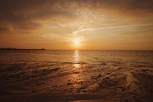 アメリカの夕日・夕暮れ絶景スポット〜カリフォルニアはビーチがおすすめ〜ふみおのアメリカ駐在ライフ