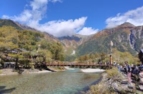 今日の上高地は朝から青空が広がって穂高がお目見えしてくれました。日に日に残雪が少なくなり、山の中腹まで緑が濃く鮮やかになったなぁと感じます。耳をすませばウグイスの声。目の前を横切ってタンポポに留まったキアゲハ。梅雨時期の楽しみなお花であるショウキラン