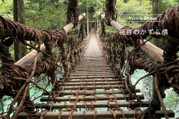 四国一人旅⑤桂浜、祖谷のかずら橋編KITのブログ