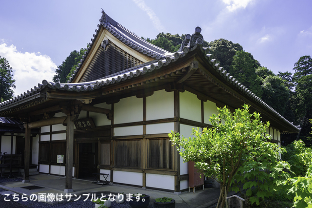 青松寺 - 東京都港区 -