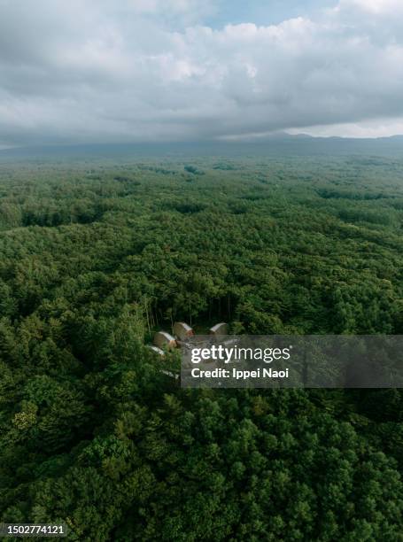 樹海の聖杯 : 樹海Ｔシャツ販売サイト「樹海堂」日記