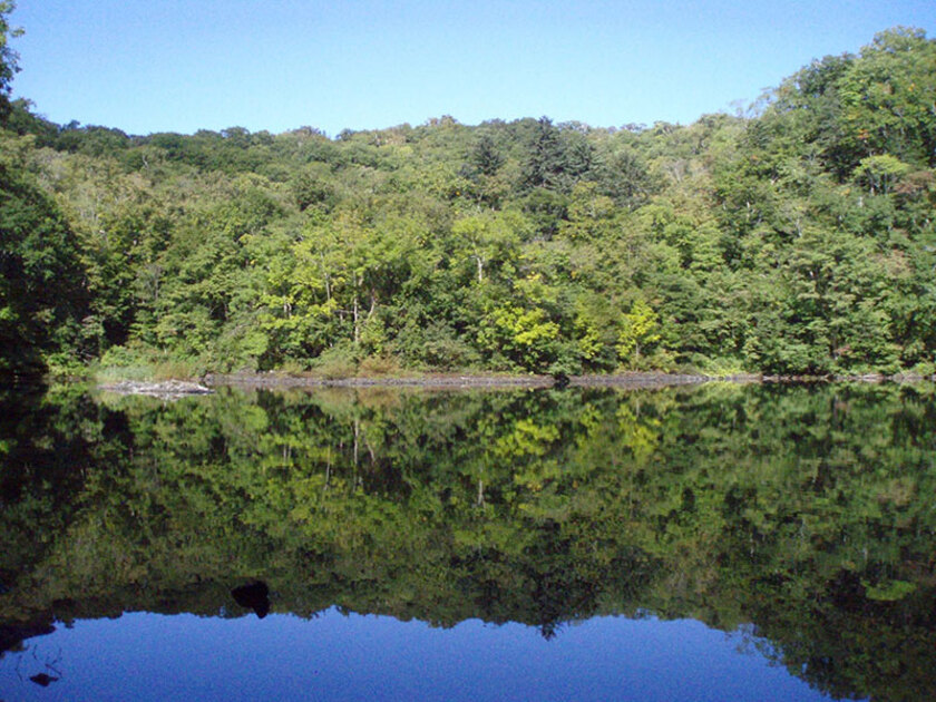 ニセコでスノーシュー遊び 半月湖湖畔まで行ってきました空飛ぶわんこ