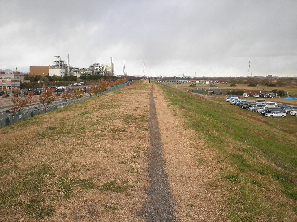 ひらつかLaLaぽた「平塚の八景を巡る夏」特集スルガ銀行 Dバンク支店