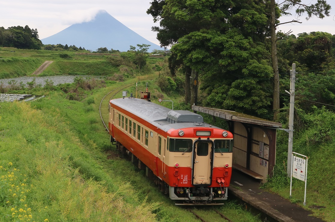 α7R IIで鉄道写真 植物たちが超元気！真夏の指宿枕崎線 - ソニーショップさとうち