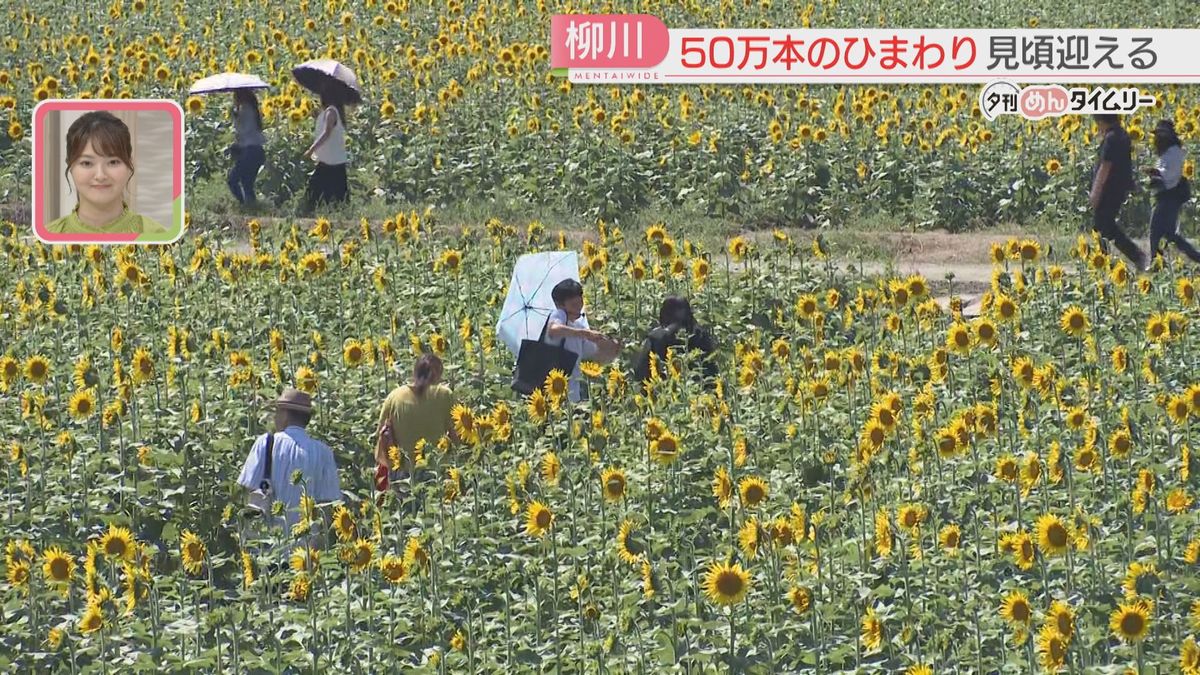 柳川ひまわり園清流の森 ～九州の滝と風景～