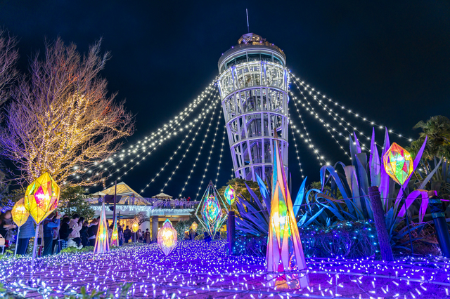 2025年保存版 白浜の穴場スポット13選！地元民おすすめの観光名所をエリア別に紹介NEWT ニュート