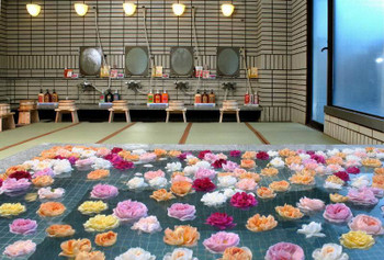 初心者にもおすすめ 女子一人旅のツアー・温泉宿が安い！ 国内ひとり旅