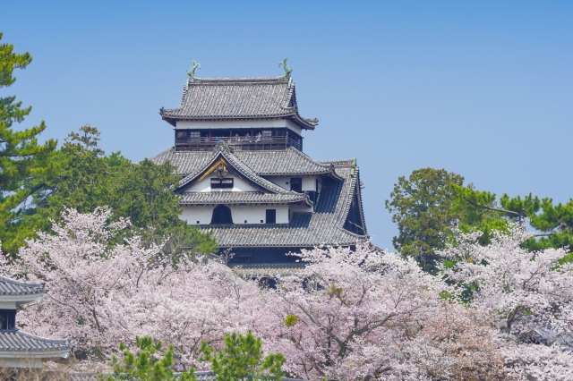 島根・鳥取✈️レンタカーで回る王道観光旅 1日目 島根