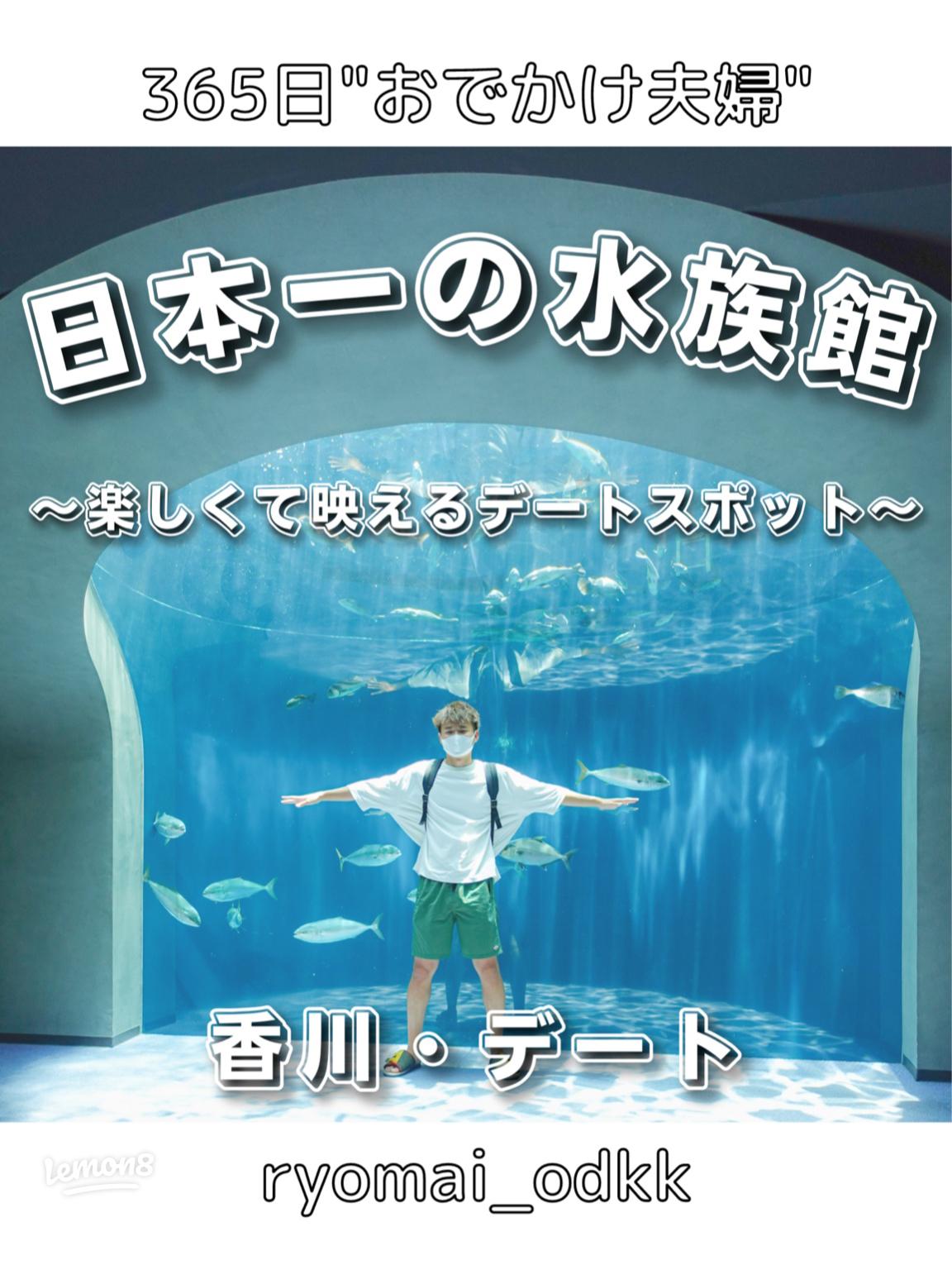 日本財団主催子ども向け体験型展示イベント「海をたすけるすいぞくかん」イマナニ 四国のイベント情報