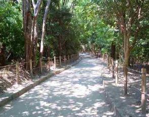 飛行機に大興奮！ 伊丹空港隣接の下河原緑地 伊丹市 は飛行機モチーフの遊具も楽しい♪るるぶKids