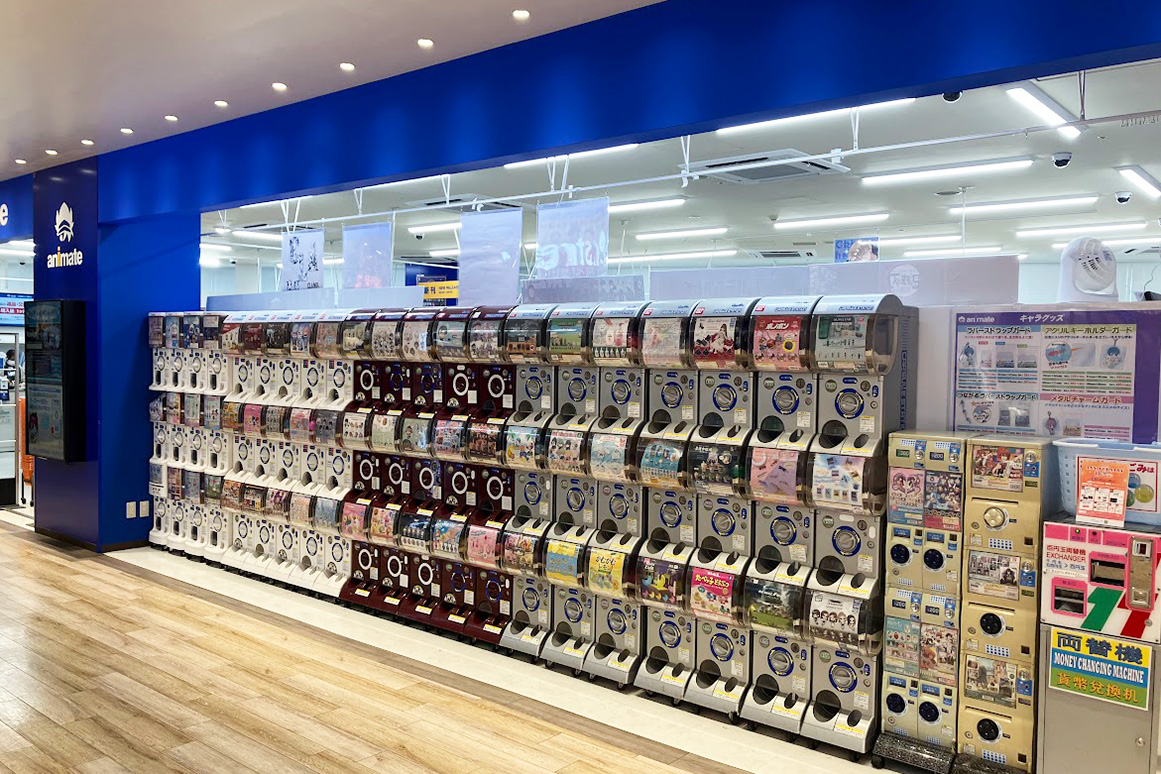 川口アニメイトTikTok