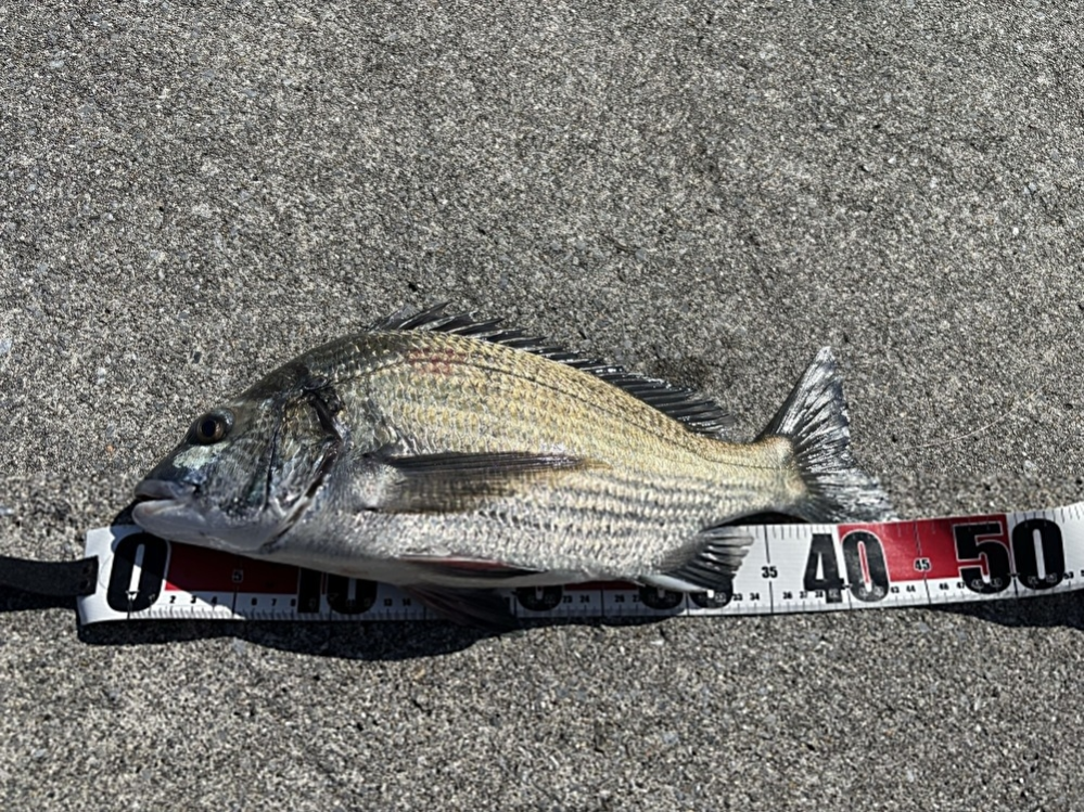 上高地の絶景を楽しむ週末の過ごし方