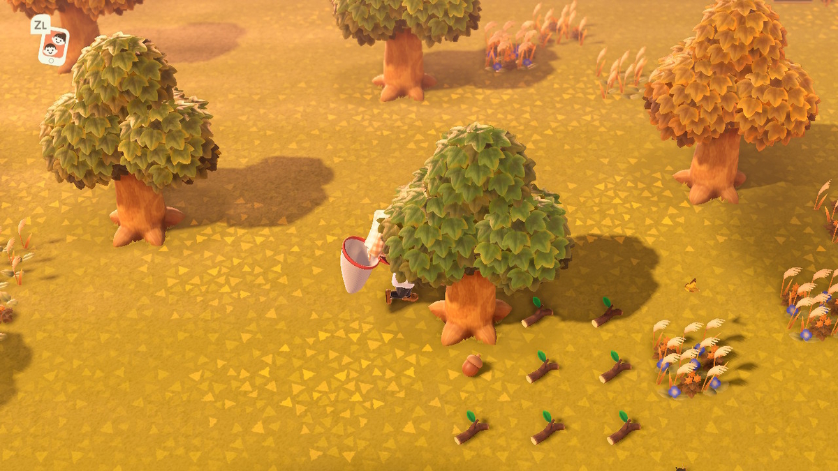 こんにちは！もし、NHで梨の木から始めたら、他の果物も育てられる？ : r