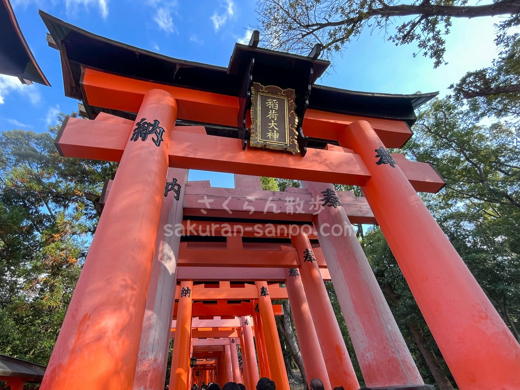 稲荷神社の総本社！｢伏見稲荷大社｣境内の見どころをご紹介