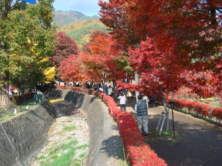 河口湖もみじ回廊の見頃時期は？アクセス情報や周辺スポットも紹介びゅうトラベル JR東日本