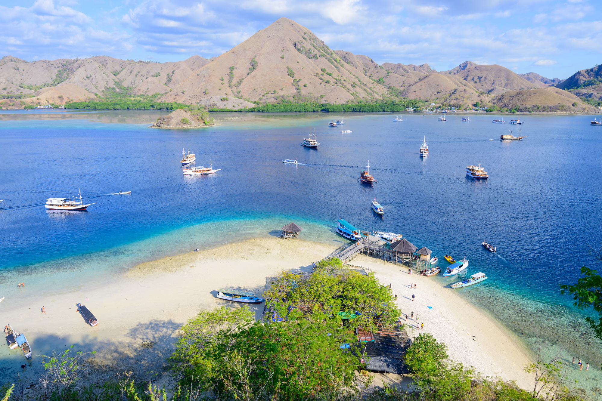 昨季は一時トップ4争いも 今夏にI・ジェズスやエンドイェら選手層が増したN・フォレストの勢いは今季も続くのか2025年8月19日-エキサイトニュース