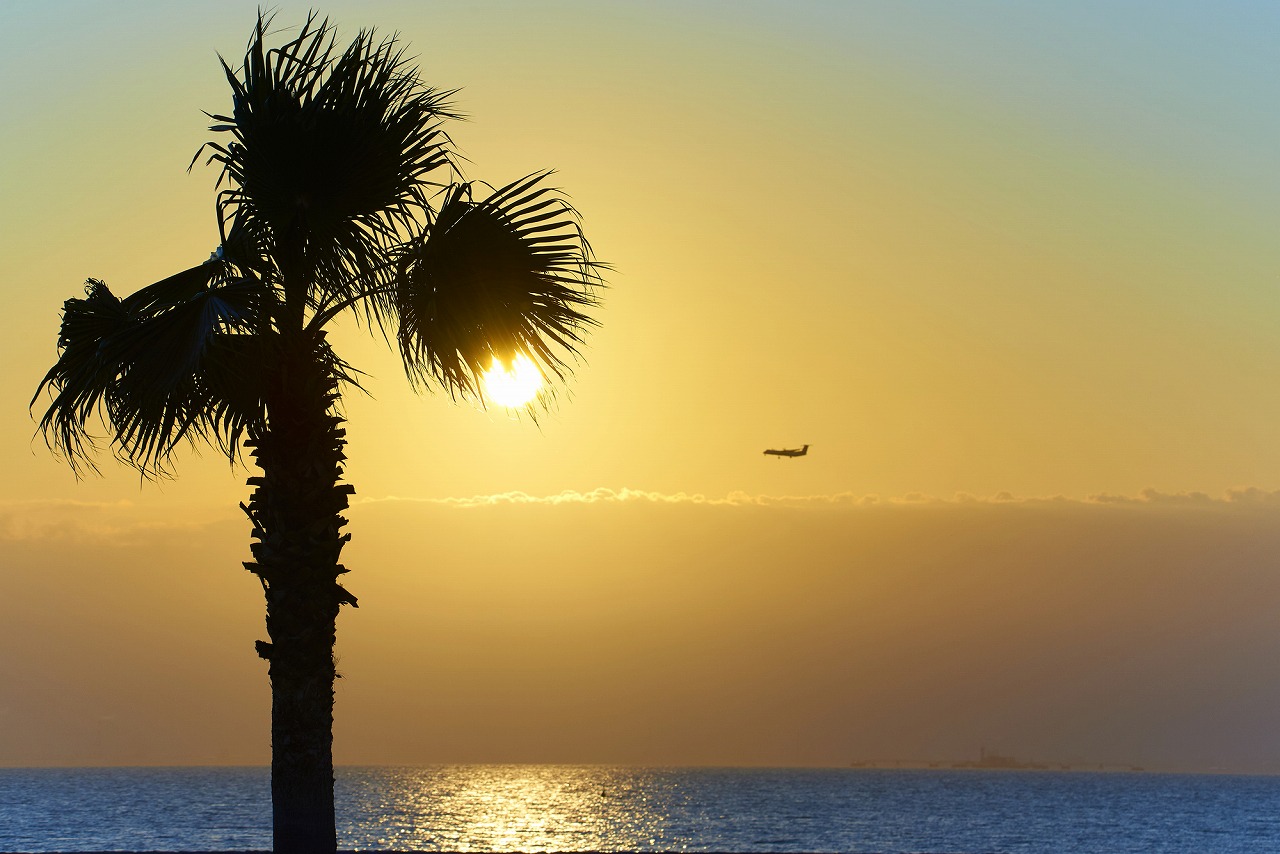 東海 日帰り絶景ドライブコース特集旅行プランは旅色で