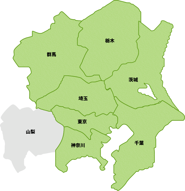 広島東洋カープ 関東限定応援タオル どこからでもかかって鯉