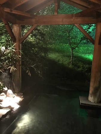 栃木 皇室の方々と同じ温泉に入れる！？ 奥那須 大丸温泉旅館