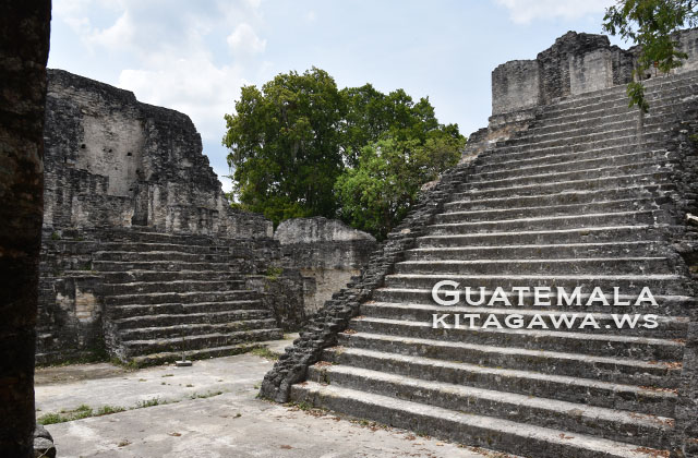 ユネスコジュエリー：グアテマラシティから飛行機でティカル一日ツアー 2025