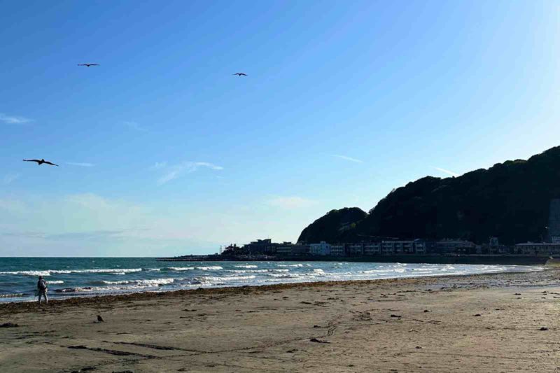 東京都内「ひとりでぼーっとできる場所」事典 屋外＆室内40カ所以上レポ！ │東京チカーバ東京と近場の観光&散歩スポットを巡るブログ