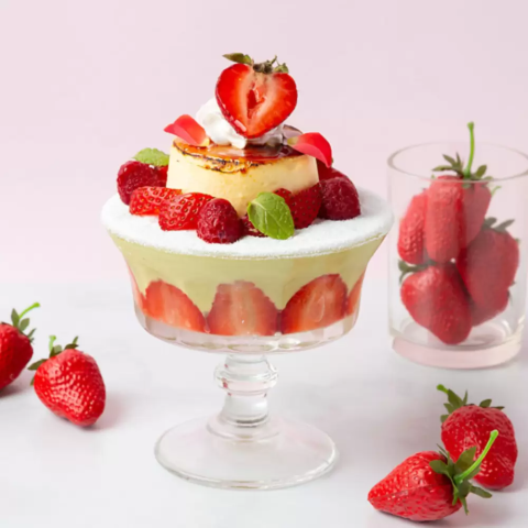 大阪梅田のインスタ映えカフェでタルト三つTikTok