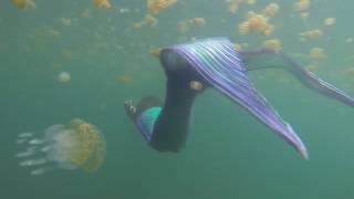 人魚 本物発見写っちゃったTikTok