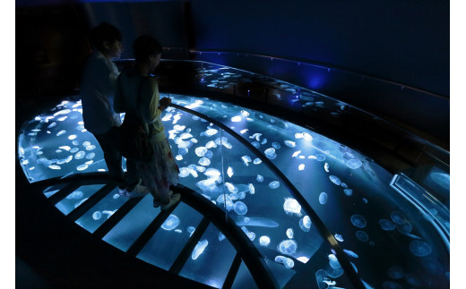 スカイツリー当日券が割引になる裏ワザはある？今すぐ購入したい人必見おとな開運女子部