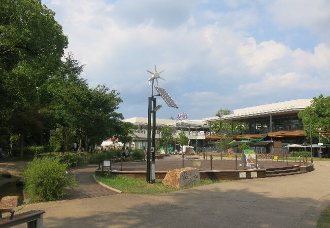 倉敷市 麺好き必見！12 23・24は倉敷みらい公園に麺料理が大集合