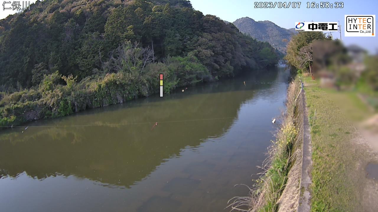 山口市の仁保川に名物こいのぼり登場中国新聞デジタル