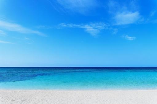 8,728,800点を超えるビーチのストックフォト、写真、そしてロイヤリティフリーの画像 - iStock海, 自然, 花