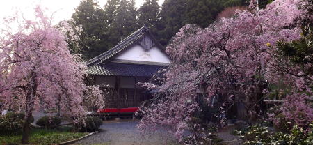南原寺 御朱印 - 美祢市