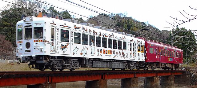 和歌山電鐵 貴志川線 南海カラー2270系が9