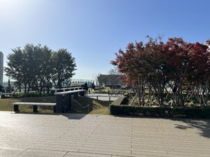 天空の庭園に行こう！横浜の屋上完全ガイド - YOKOHAMA OSUSUMEWA