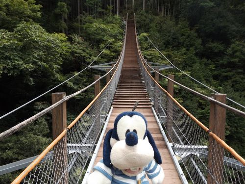 夢のつり橋旅する大井川