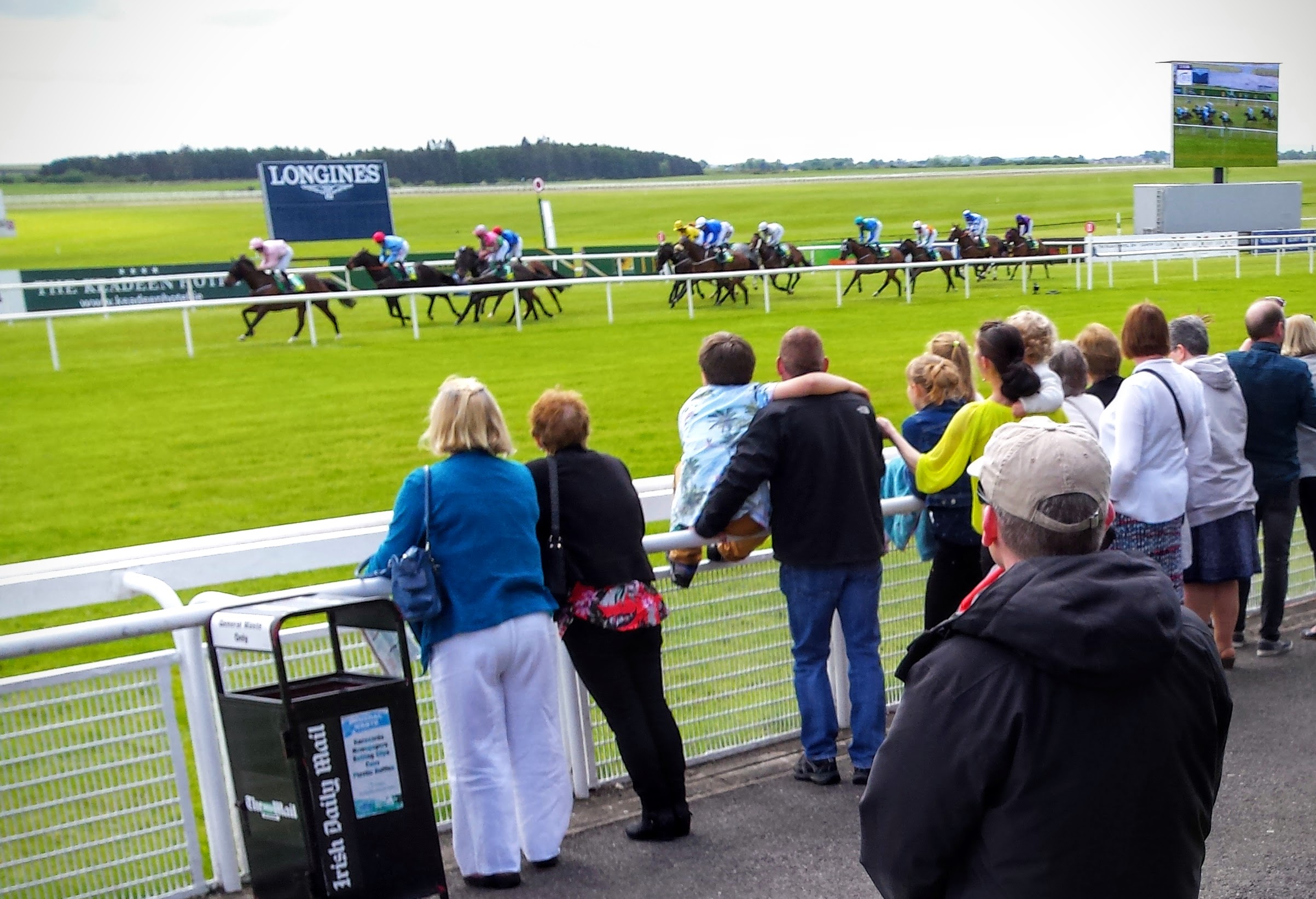 カラヴァジェスティCaravaggisti競走馬データ - netkeiba